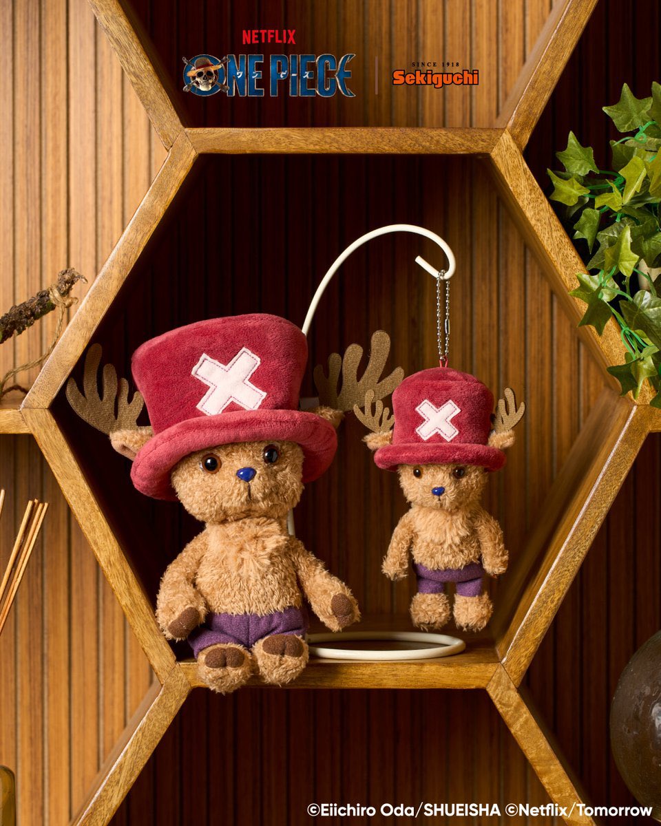OPMerchandise's tweet photo. Here’s a look at the Netflix One Piece x MONCHHICCHI (@monchhichi126) collaboration!

Luffy Monchhichi is a replica of Monkey D. Luffy and Sekiguchi will also recreate Tony Tony Chopper!

There will be a plush toy and keychain mascot for each.

It will be available at all official stores, online, and at specialty stores nationwide.

🇯🇵: March 14, 2026 Monchhichi Stores

#OnePiece