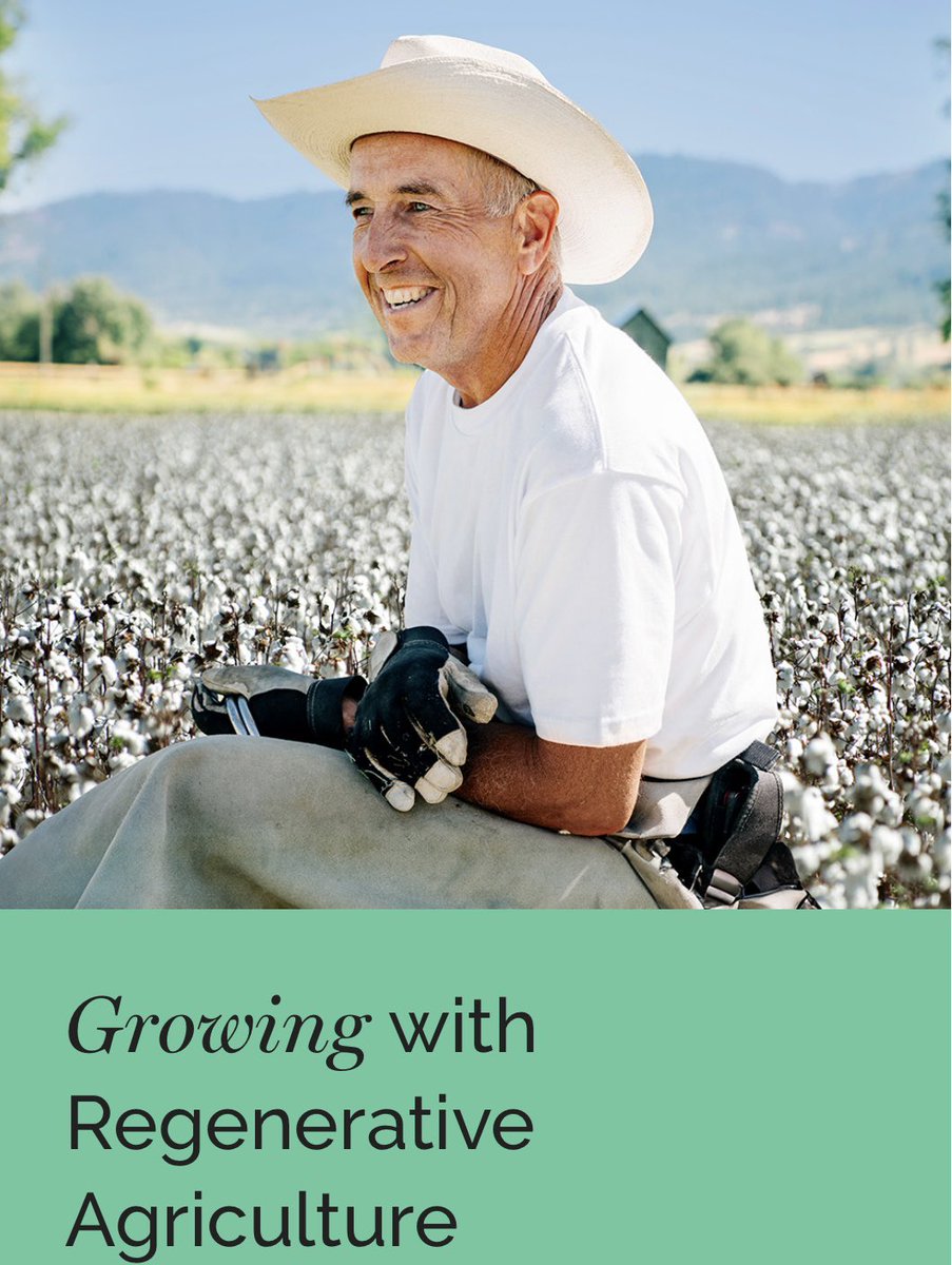 Ava Banta tweet media