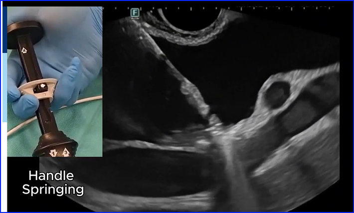 Rajan kanth tweet media