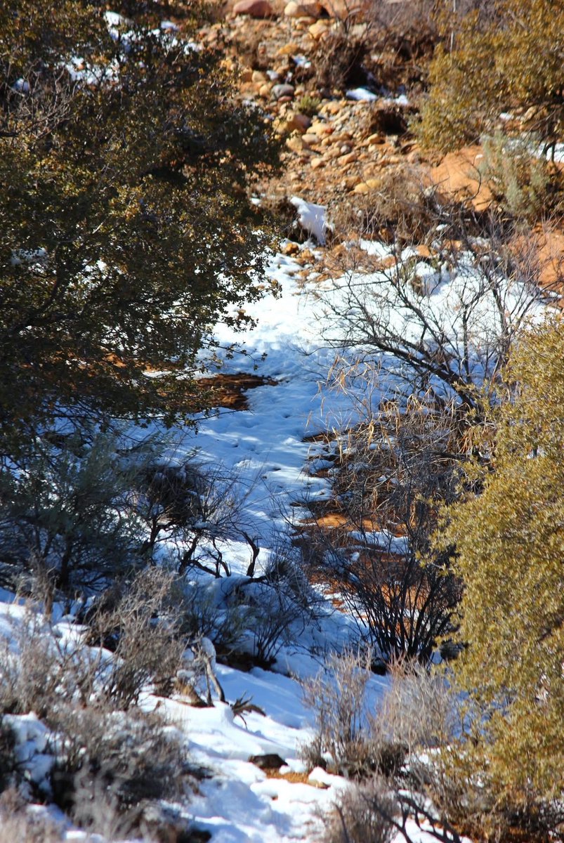 elguerolanchero's tweet image. #beauty #snow #RedRock #scenery #photography #mountains #archives Just get out  there and freeze time. It’s fun, is  our superpower with the camera. Enjoy these…