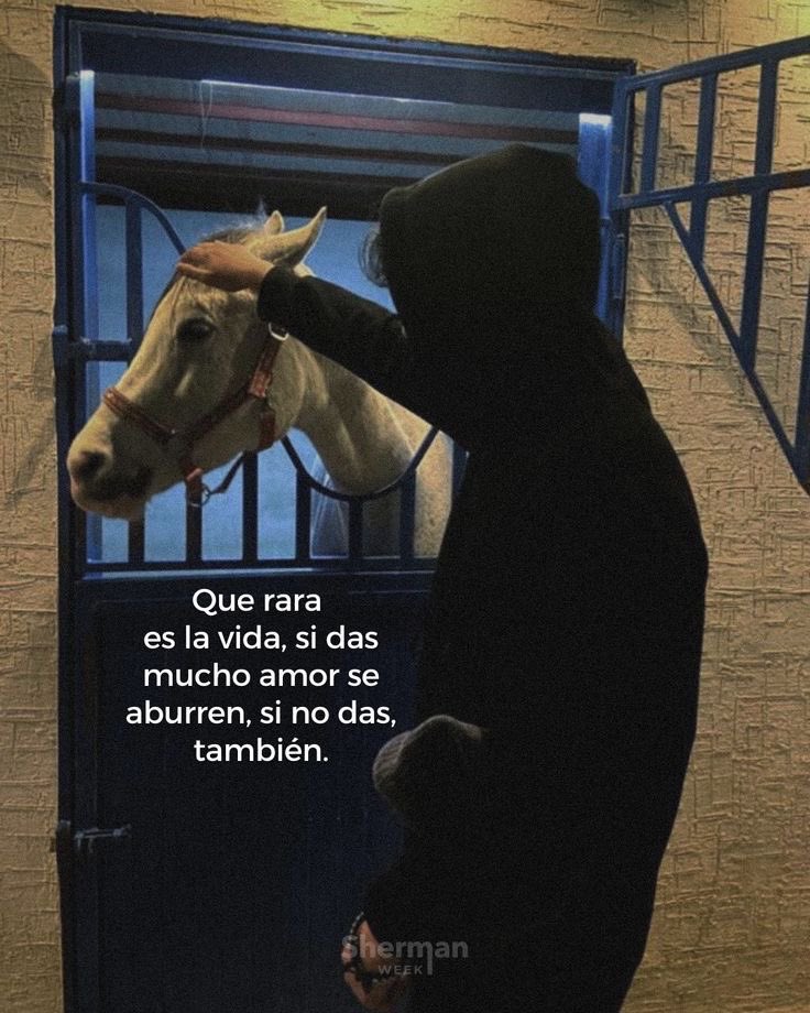 frases sad (@retumbera) on Twitter photo 