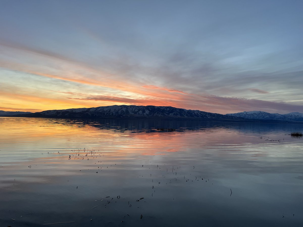 Annadeee13's tweet photo. caught this week on utah lake shore trail :)) https://t.co/06Ohj5MGLt