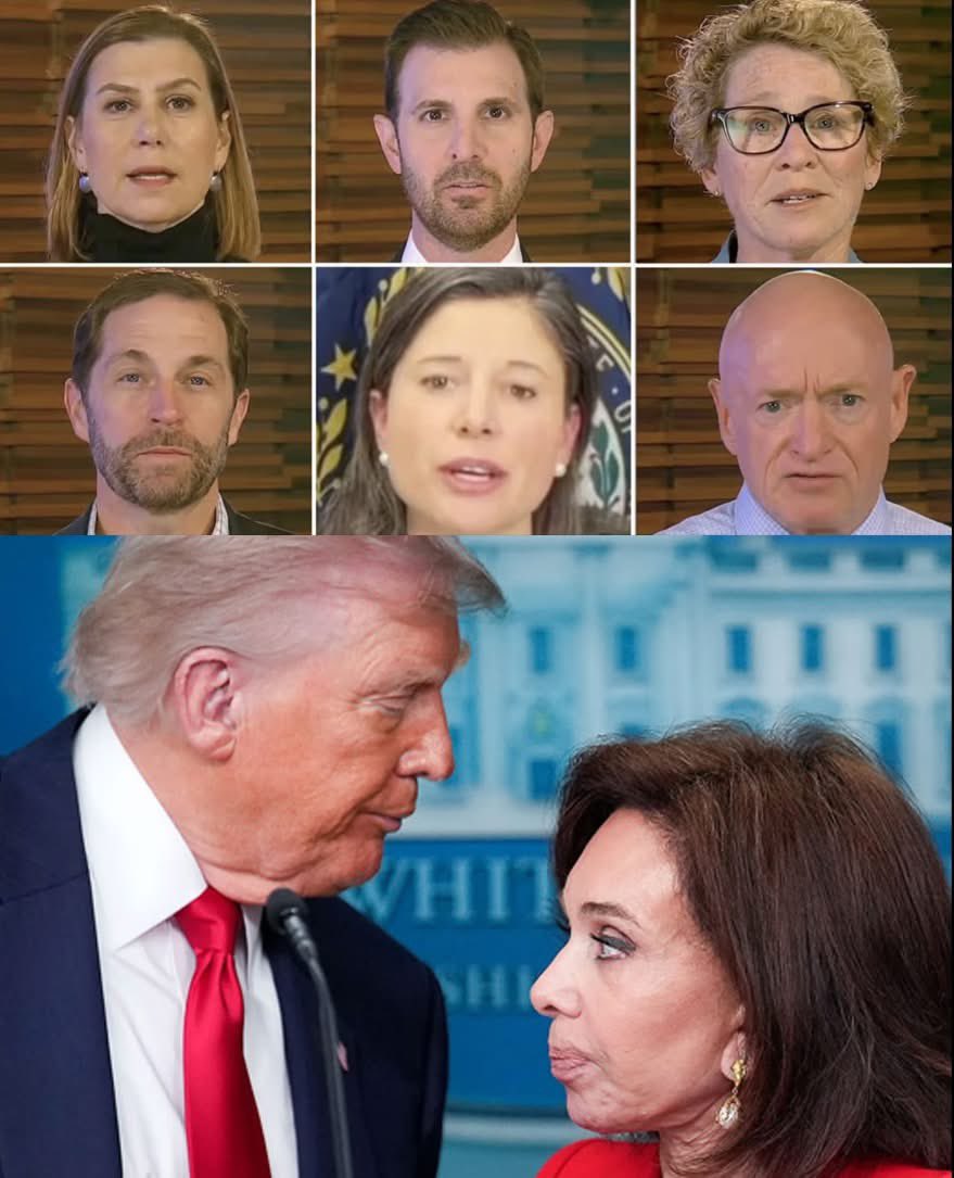 Occupy Democrats tweet media