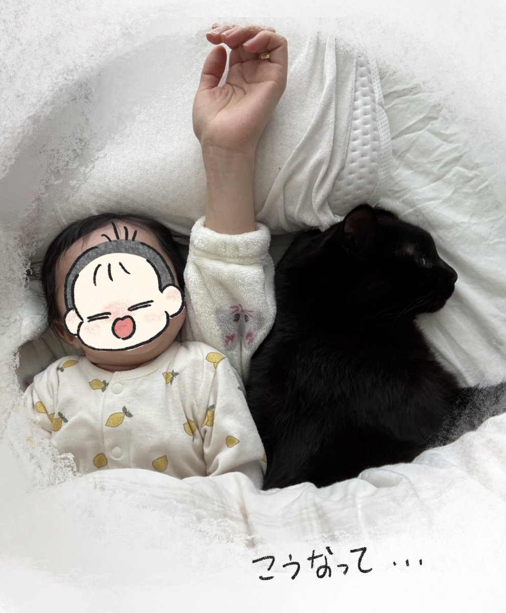 In.S_そーい (@In_s_soi) / Posts / X