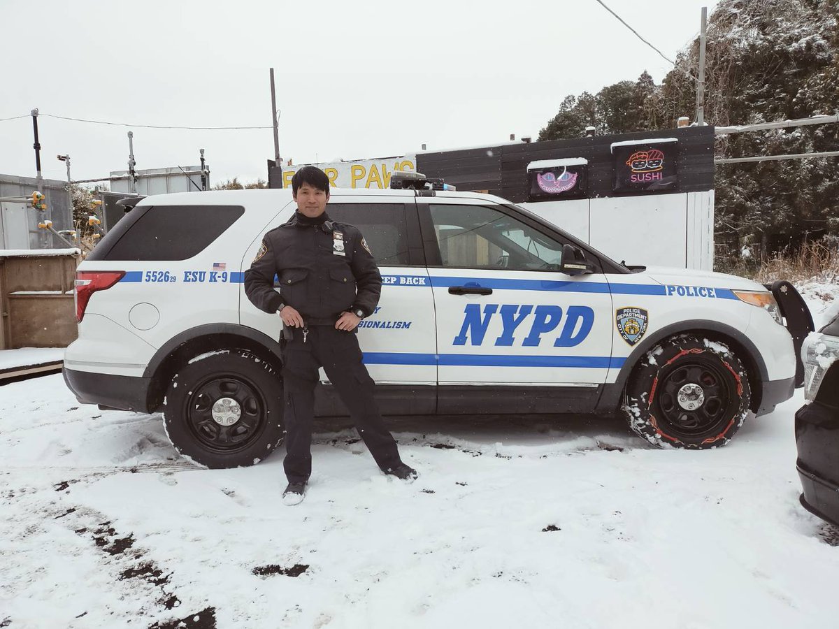 NYPD ケーナイン（k-9UNIT） (@RYK_9NYPD) / Posts / X