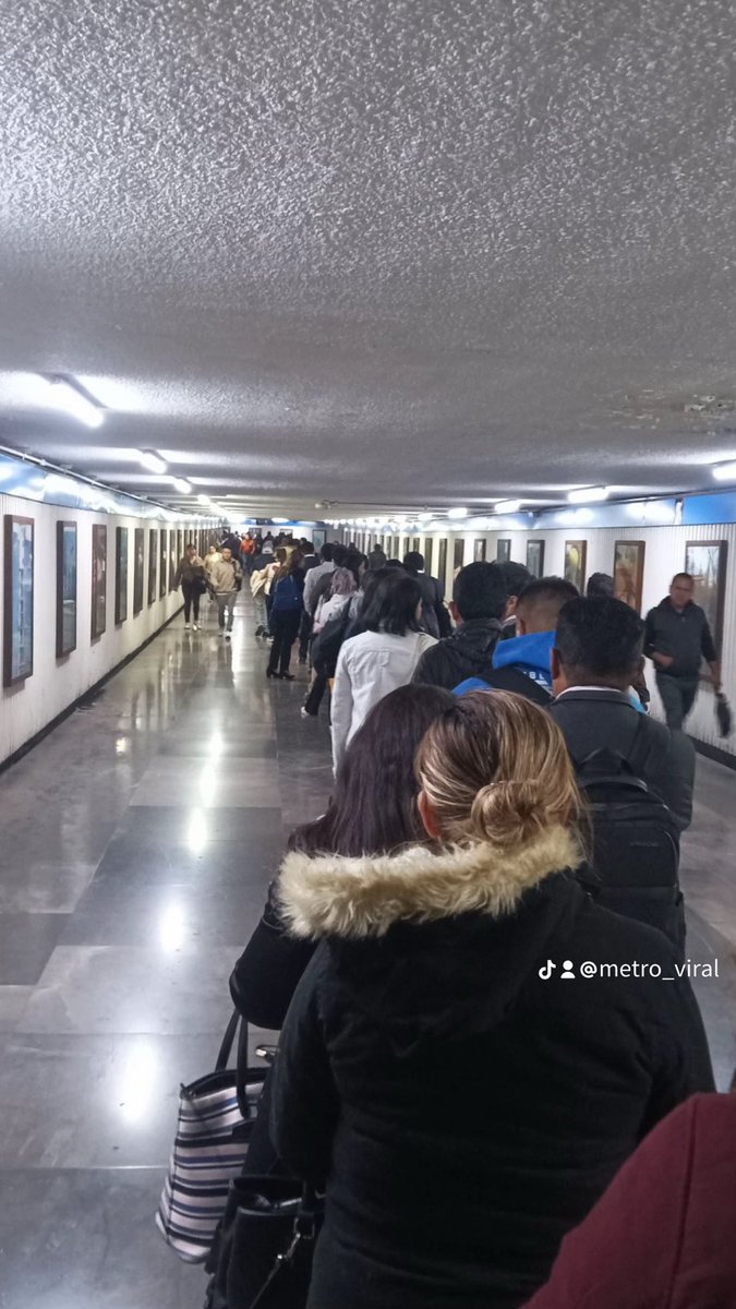 Fan MetroViral tweet media