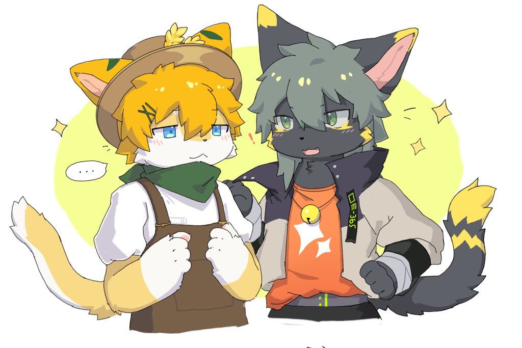 Kenji🌟 tweet media