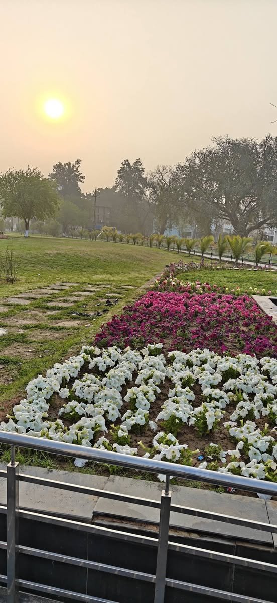 धनञ्जय Dhananjay Tripathi tweet media