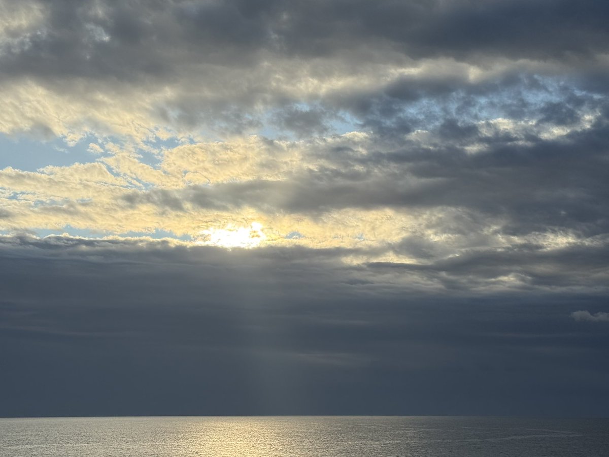 Solitario tweet media