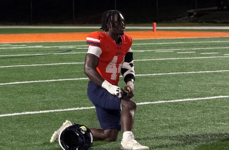 Shayne Pickering tweet media