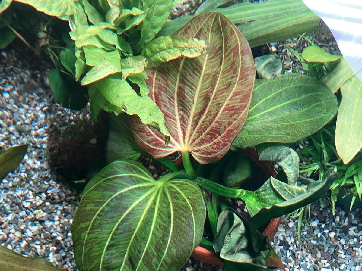 開店しました！ 本日も20時まで営業です！ 店長千葉とスタッフ増田で