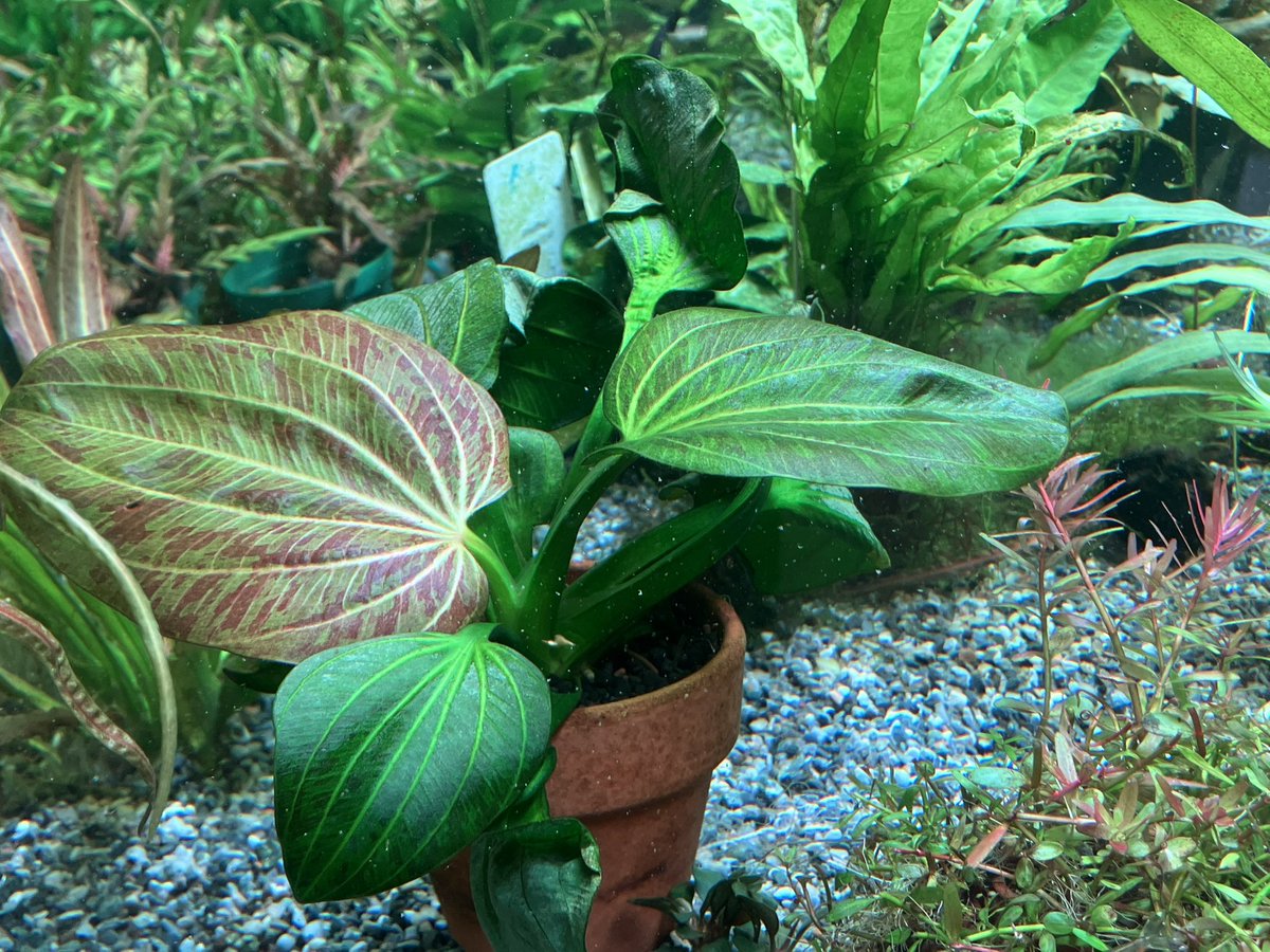 開店しました！ 本日も20時まで営業です！ 店長千葉とスタッフ増田で