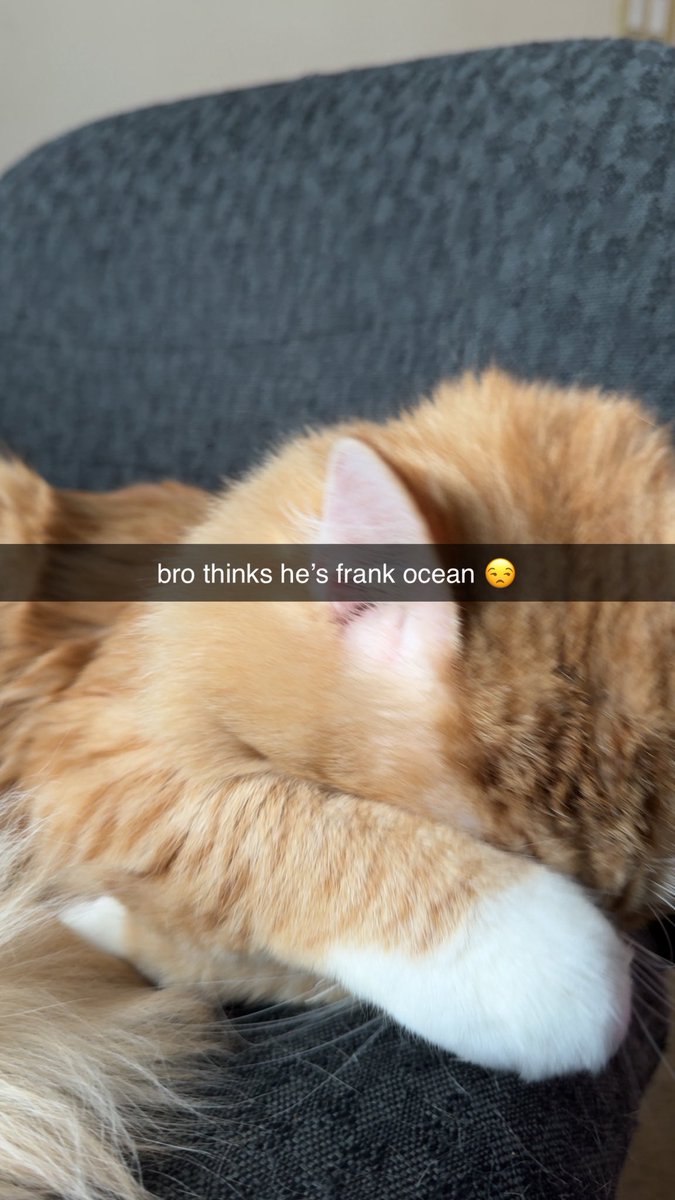 graphinity (@notgraphinity) on Twitter photo 