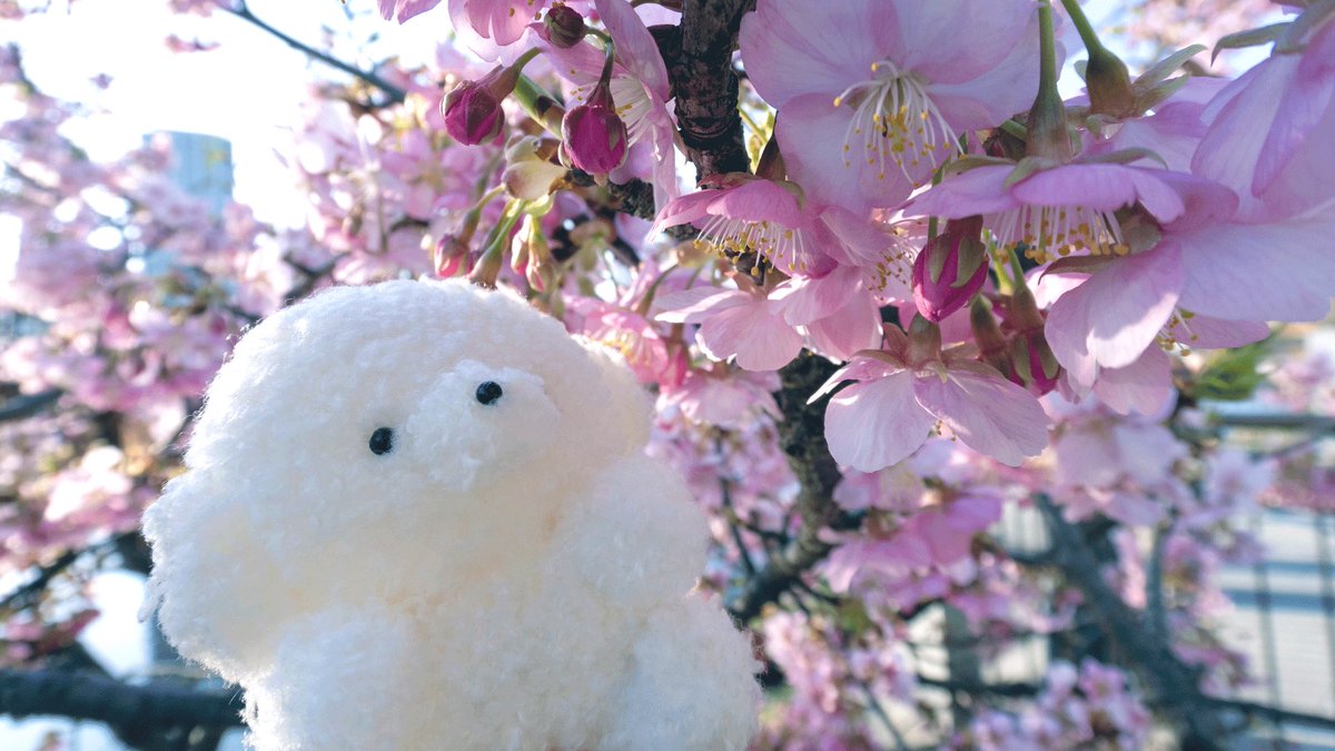 じょせまる tweet media