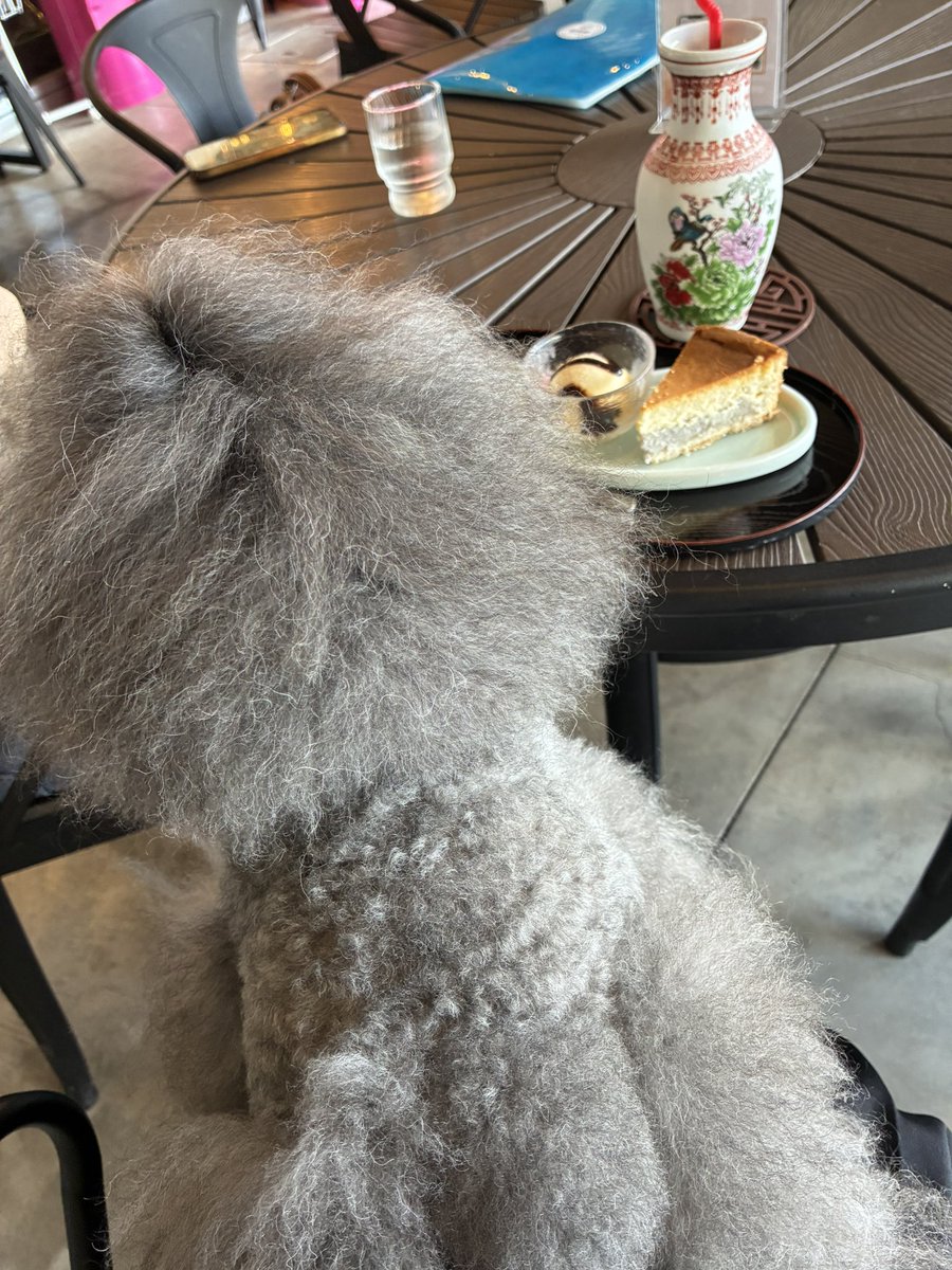 Post by まこりん on X: わーい！