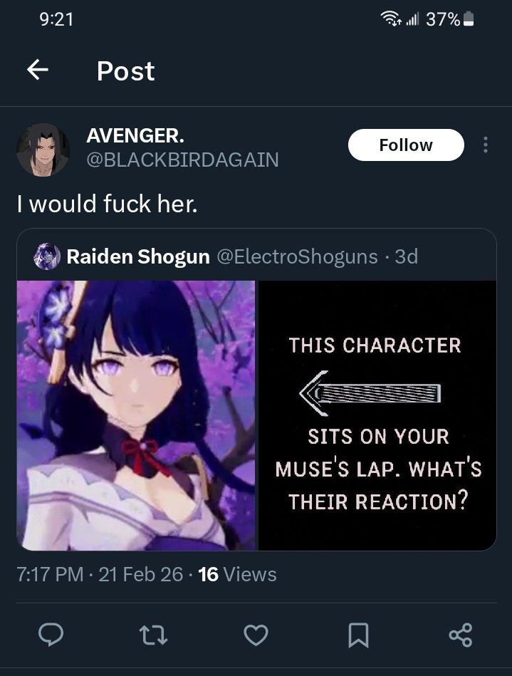 Raiden Shogun tweet media