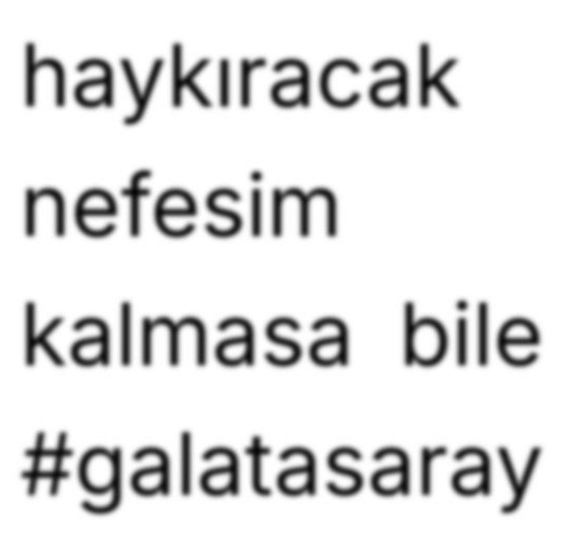 IŞILTI (@paradiseperisi1) on Twitter photo 