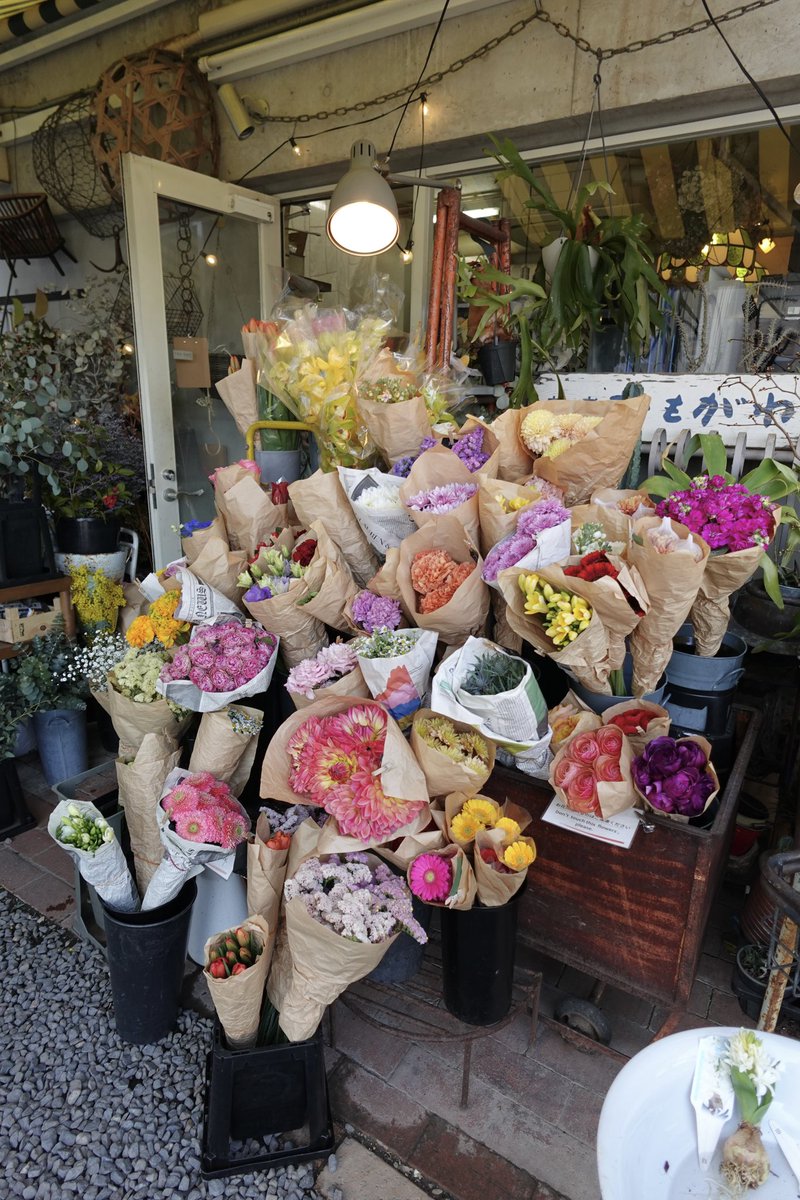 "喫茶いのん"京都のずっと行きたかったお花屋さん💐包装紙が英字新聞なのもかわいい🤍✨