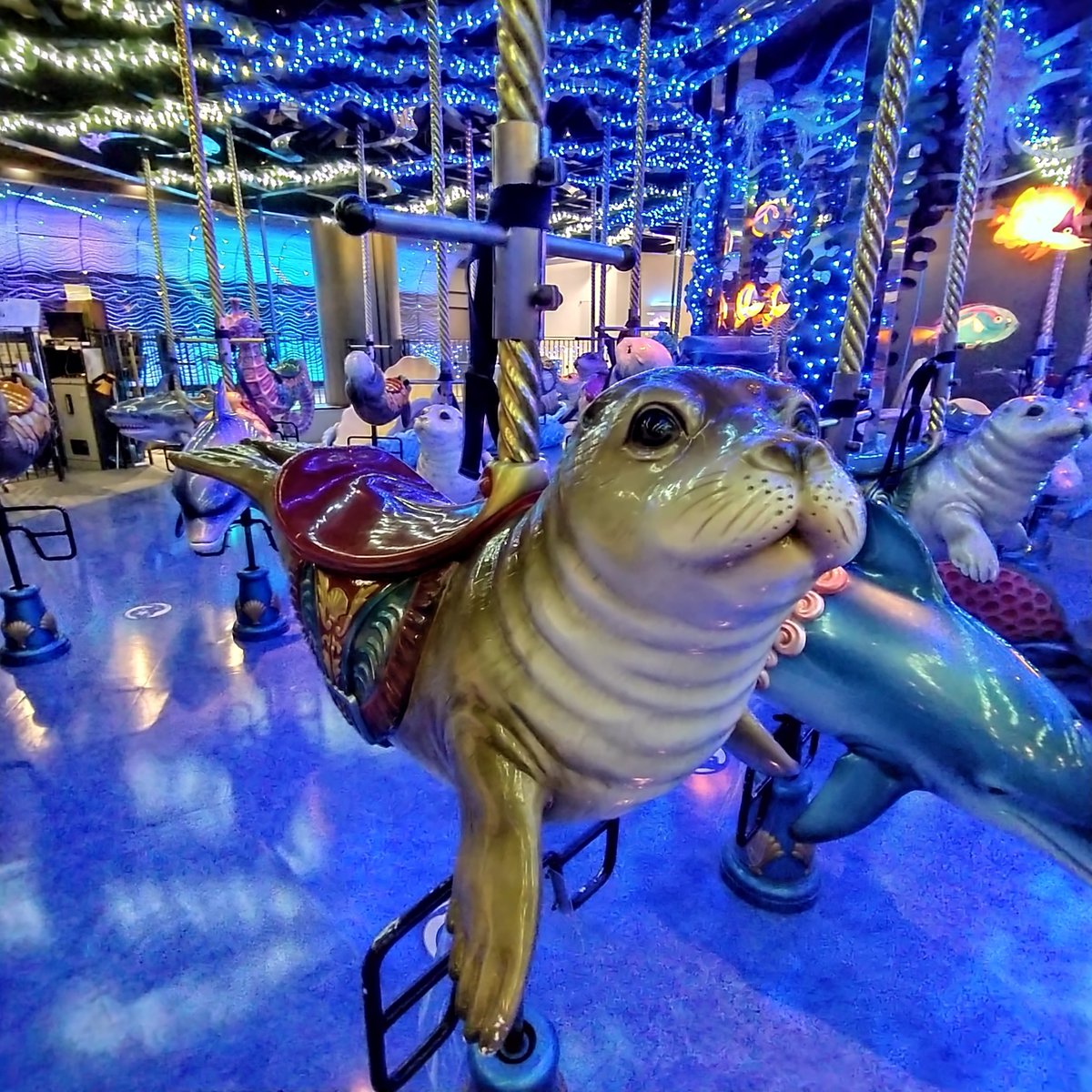 マクセル アクアパーク品川公式 (@_aquapark_) / Highlights / X