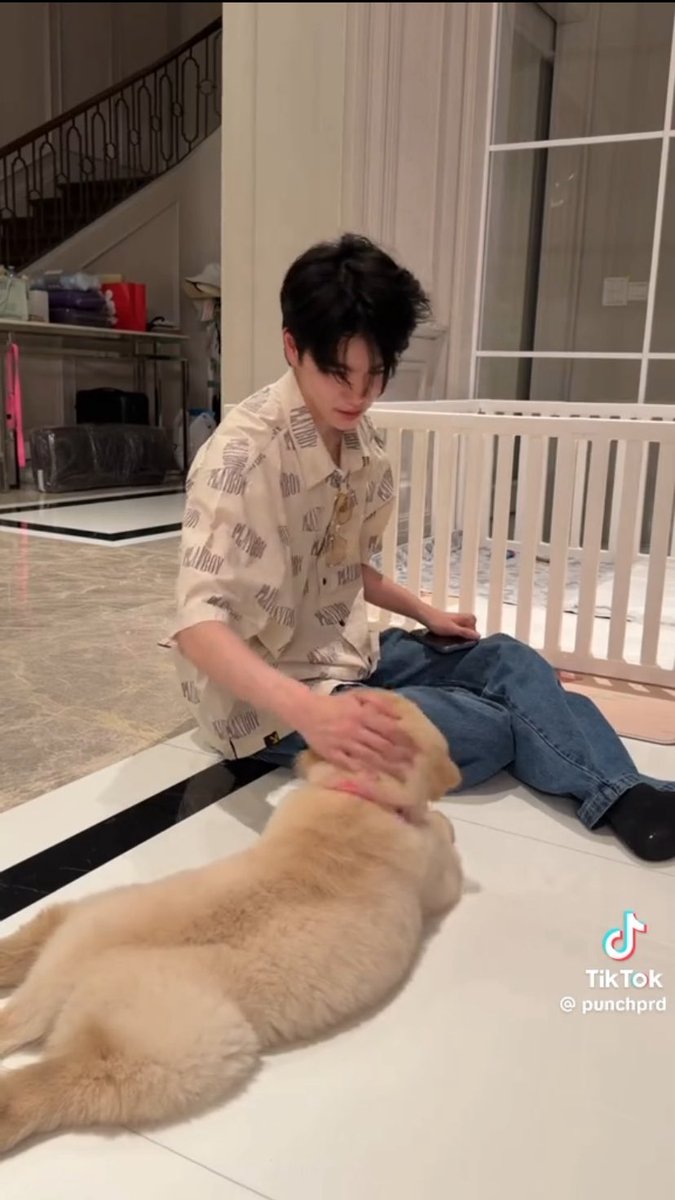 phup1nk's tweet photo. เพิ่งเห็นคลิปเจ้พั้น น้องพีทจะนั่งลงเล่นกับบิสกิตแต่เสียงเข่าคือออ เสียงกร๊อบดังมาก55555555 อายุ17 กระดูก70 🤣🤣🤣

#Pete_nvich https://t.co/KapweE6Mpl