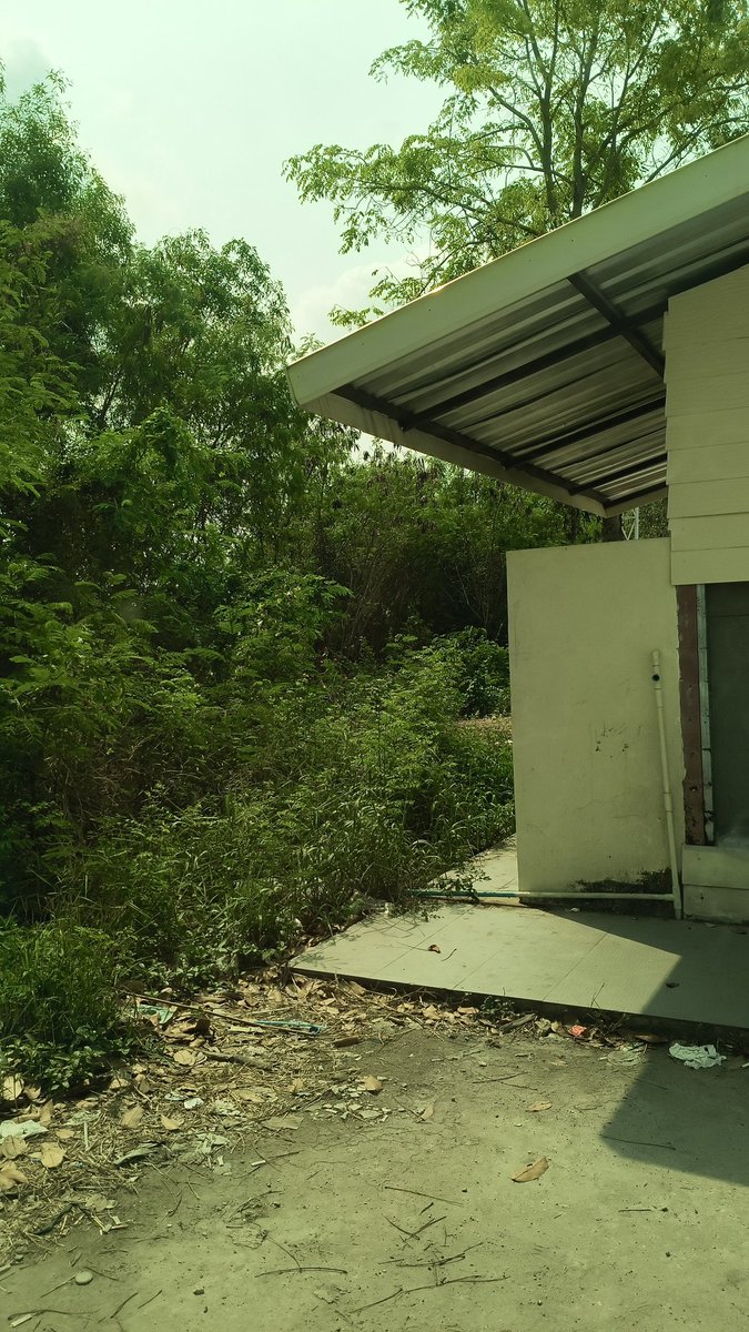 เด็กส่งของ tweet media