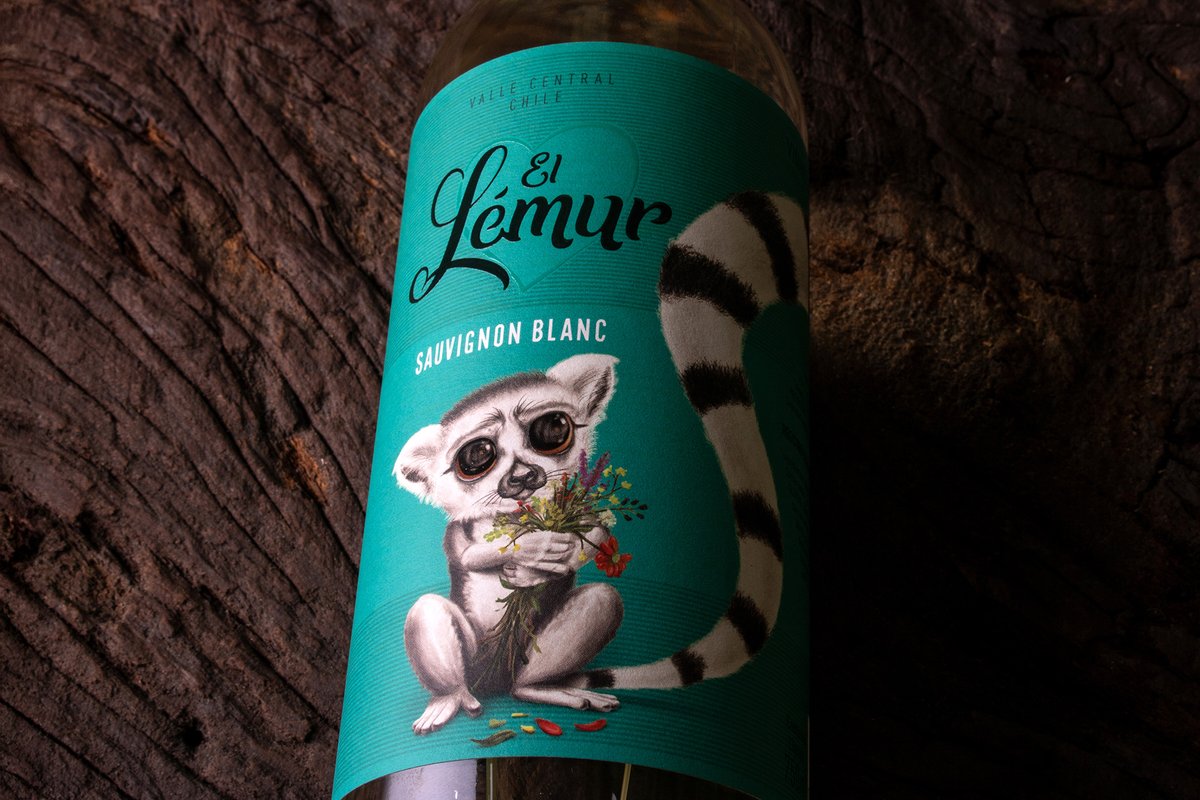 packagings's tweet image. El Lémur is a Chilean #winelabel series built around a bold, character led concept that injects humor and youthfulness into the category. 

packagingoftheworld.com/2026/02/el-lem…

#labeldesign by Bagual Studio