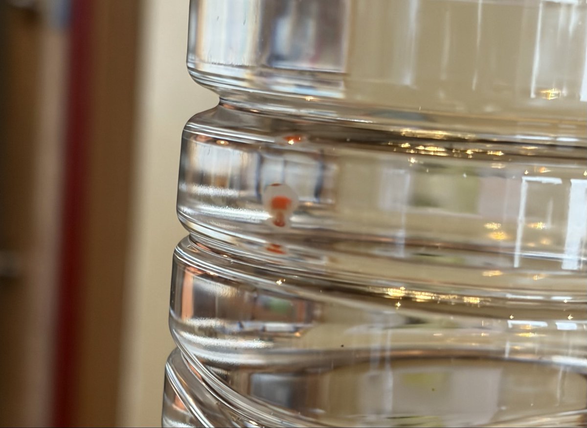 FIL(フィル)【札幌セクマイ女子イベント】 tweet media