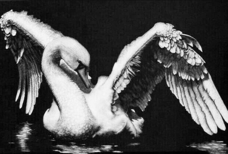 𝕰𝖑𝖊𝖒𝖒𝖎𝖗𝖊 tweet media