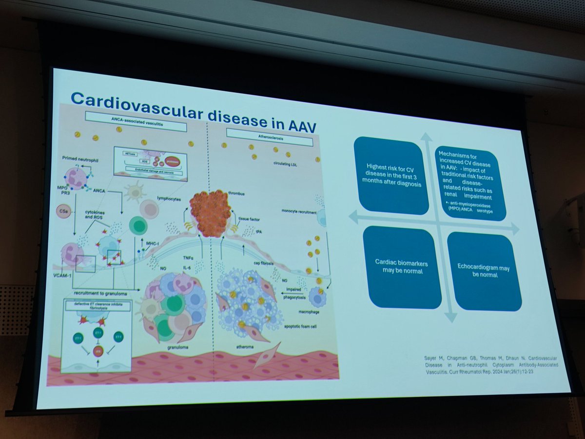 ZoiAn tweet media