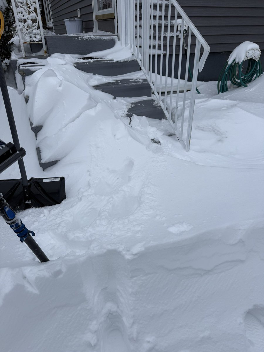 Kelly DH tweet media