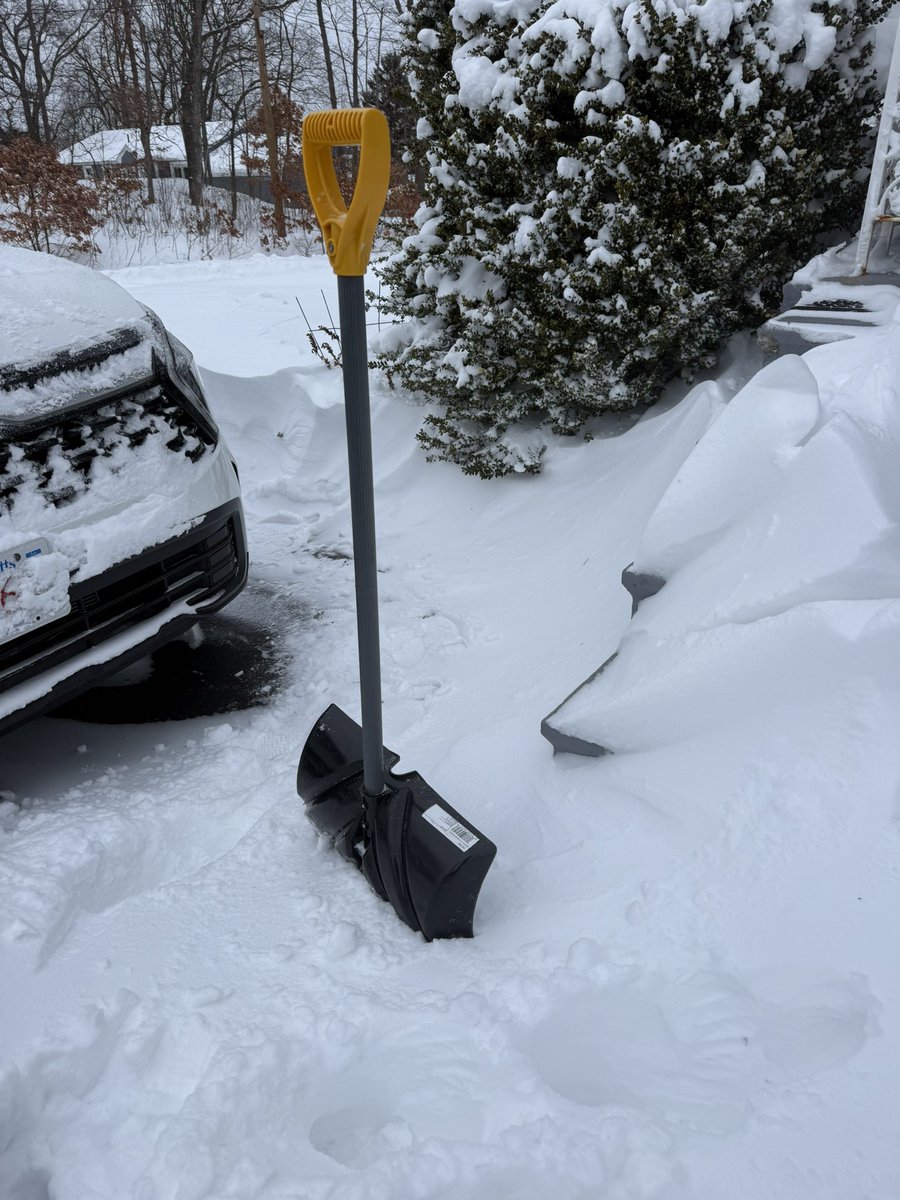 Kelly DH tweet media