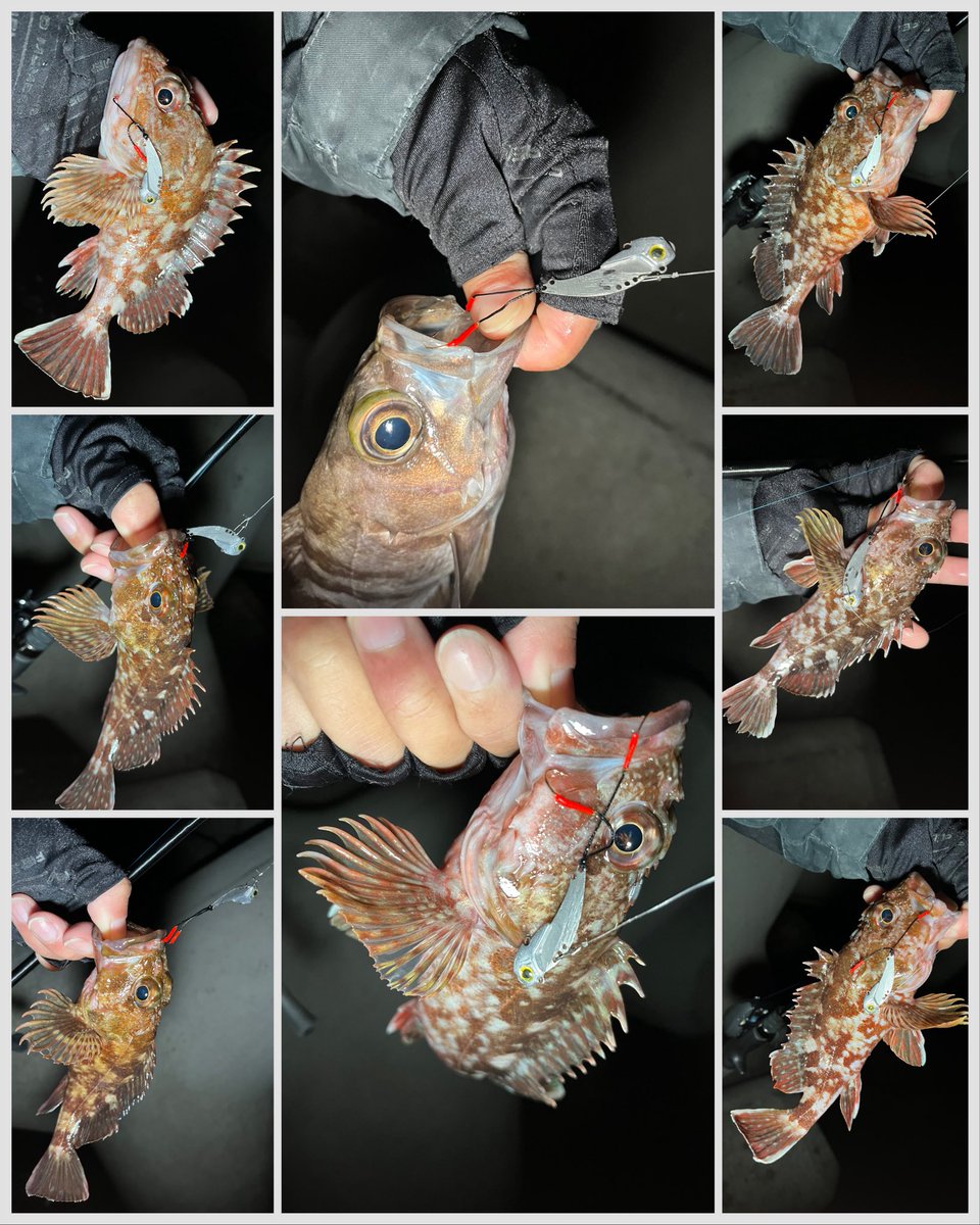 チキュー (@chikyu523) / Posts / X