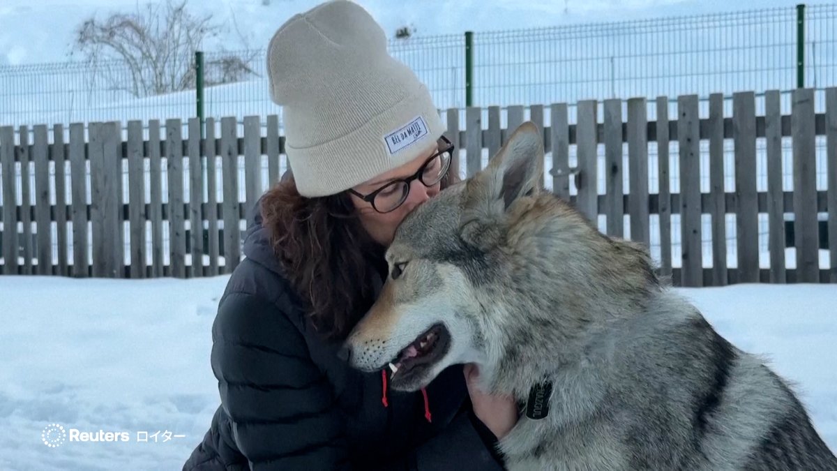 「私たちのことを探していたのだろう。散歩に行く時はいつも、会場の方向へ一緒に行くし、普段からスキーやクロスカントリーの観戦に連れて行くので、私たちが観戦に行くような格好で出かけるのを見て、自分も一緒に行きたいと思ったのではないか」
youtu.be/j_ERlLM7CdQ