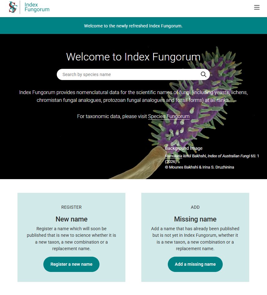 K‌ento MIYAZAWA tweet media