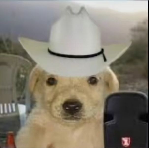 rruan.xc tweet media