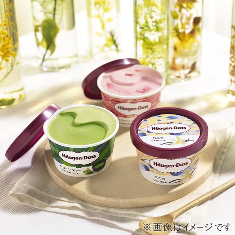 💐尾張のカリスマ日向の弟💐【公式】 tweet media