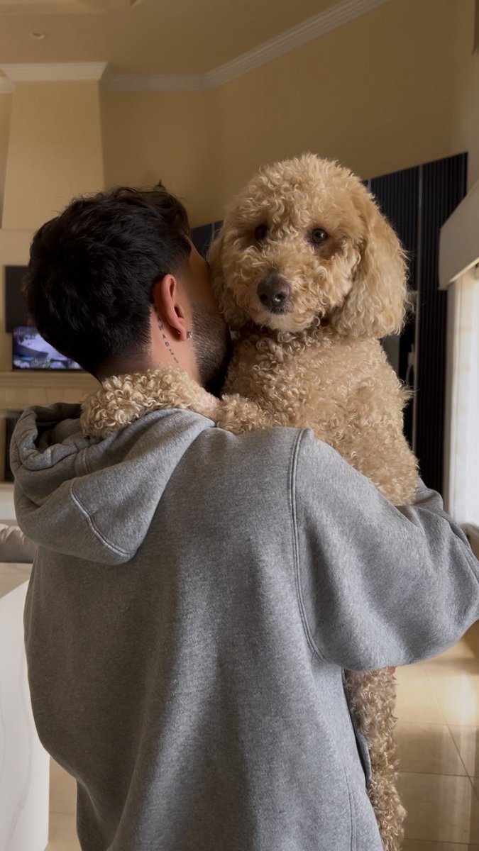 Brandon Awadis tweet media