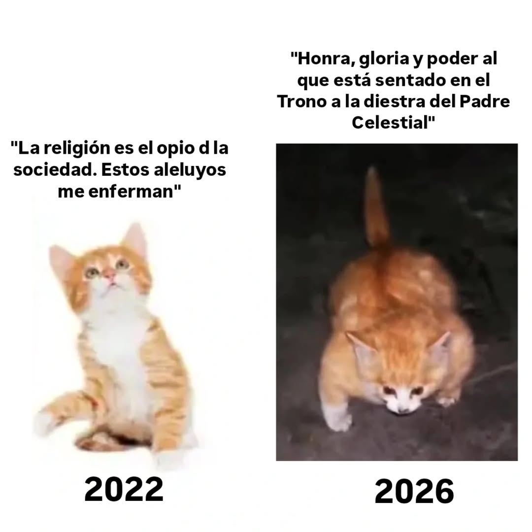 P. Florián, de Luz Pascual. (@pbroflorian) on Twitter photo 