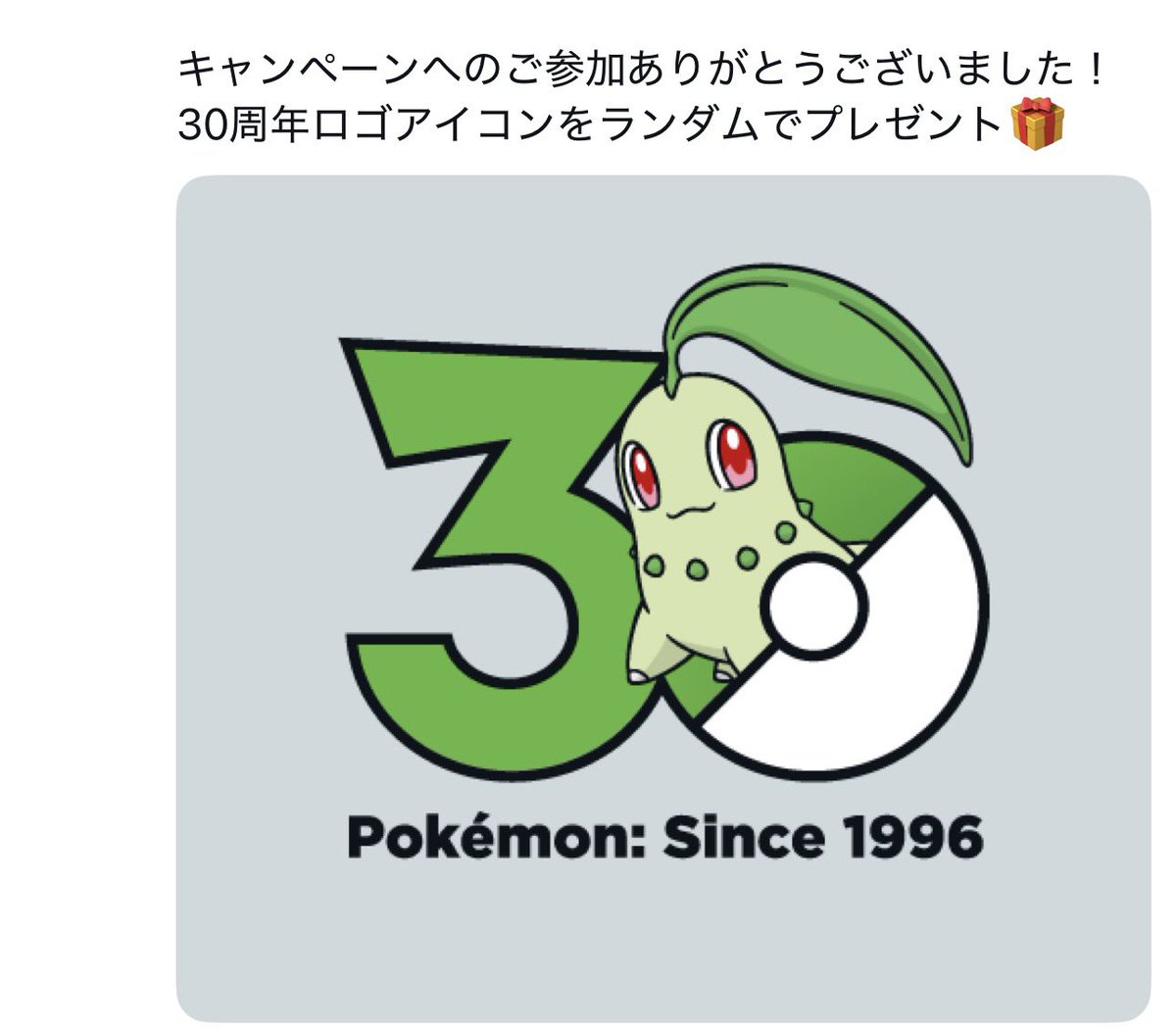 チコリータだったよ🫶