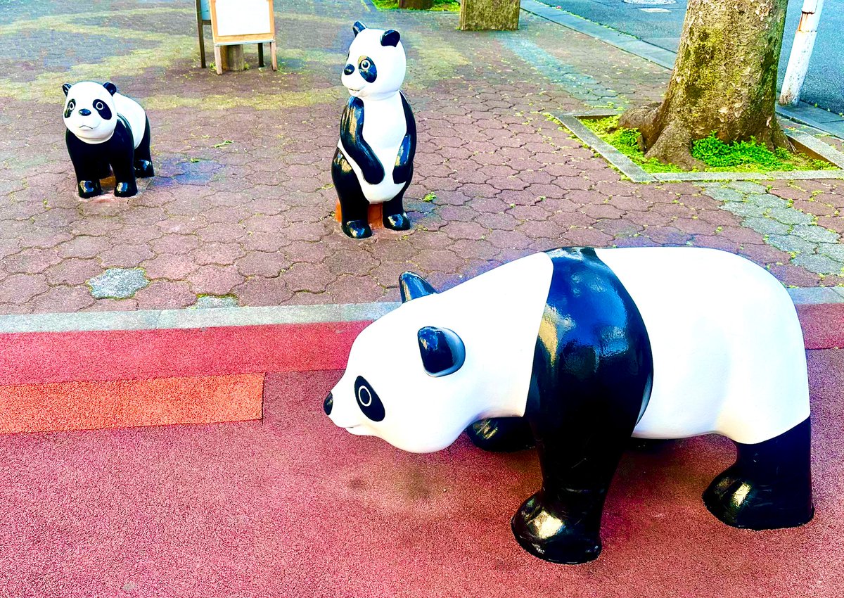 Bonjour Panda (@_bonjour_panda_) / Posts / X