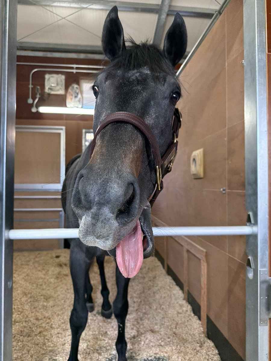 三浦 凪沙 tweet media