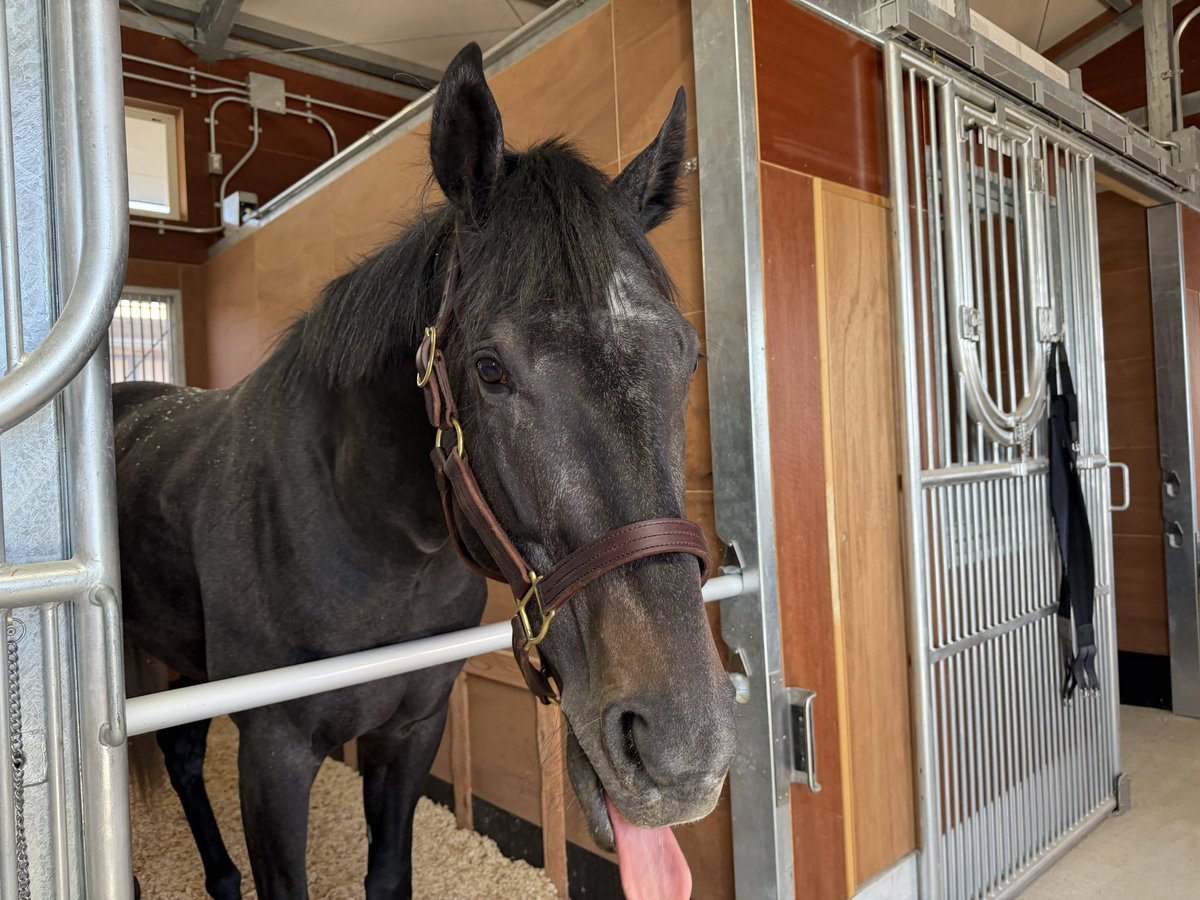 三浦 凪沙 tweet media