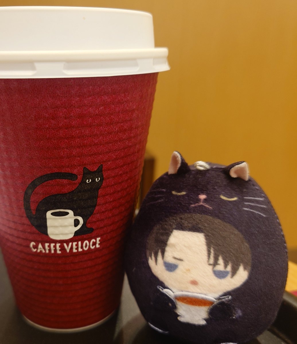 🌭☕
カップに🐈‍⬛ちゃん😊