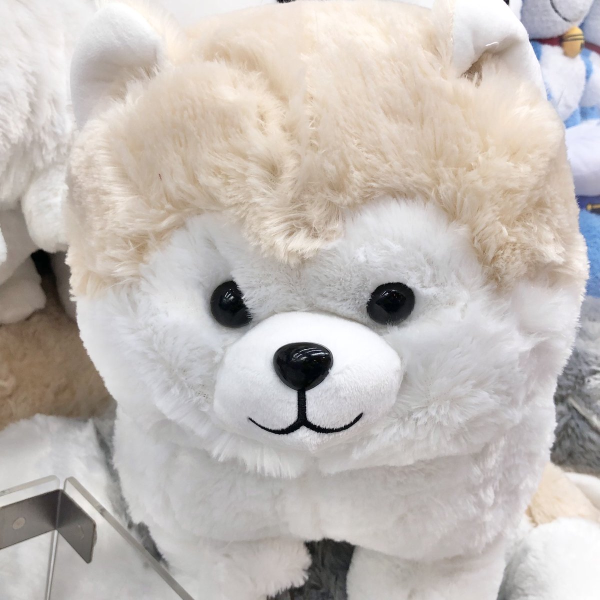 🆕景品入荷情報🆕 「ころりんわんこのモフまるウルトラBIG」 登場し