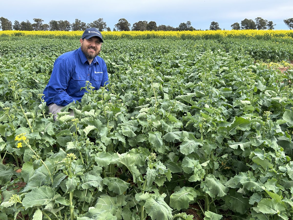 Justin Kudnig tweet media