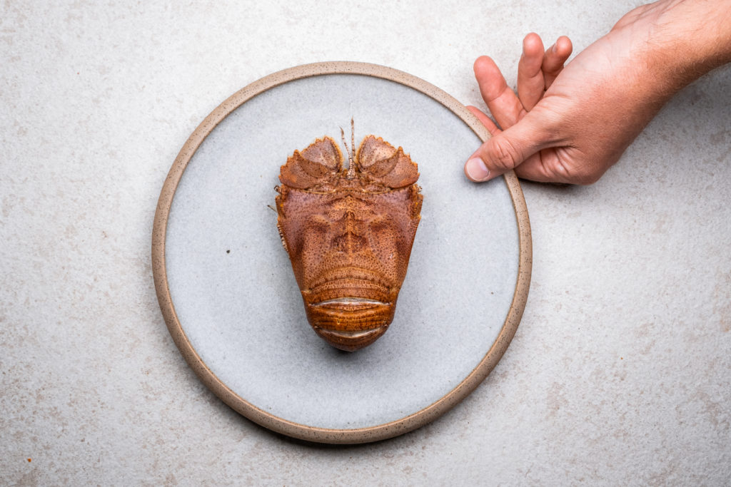 Export Council of Australia tweet media