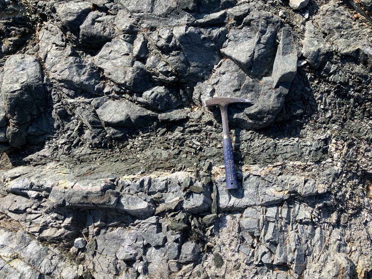 634Geoscience's tweet photo. 先日、神奈川県の丹沢地域で巡検を行いました。
流紋岩からの柘榴石の採集や、変成岩の観察・採集などをしました。 https://t.co/gnjtHb5KL5