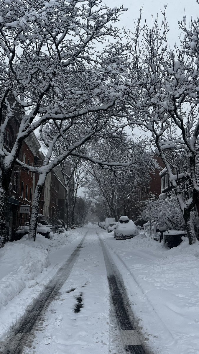 Nitasha | Web3 Event Producer ( Freelance arc ) tweet media