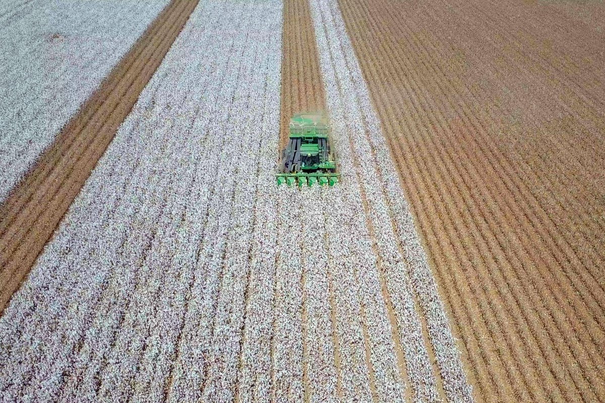NicoleRomano369's tweet photo. one huge takeaway: many cotton farmers are using regenerative &amp; precision farming to reduce water use and improve soil health while still producing quality fiber. As a fashion student, it really changed the way I think about where our materials come from👀 https://t.co/nnSi9J7GhG