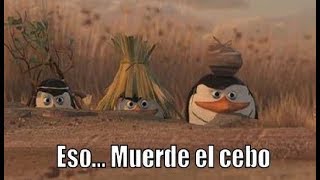 #GranHermano todo LATAM, Europa y EEUU esperando que bardeemos a Mavinga para acusarnos de discriminadores: